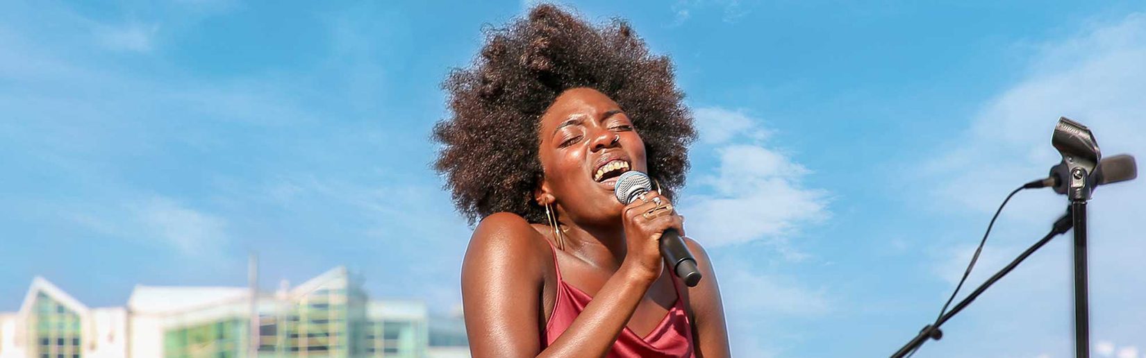 Celebrate Chicago Soul Music at Navy Pier’s Chi-Soul Fest